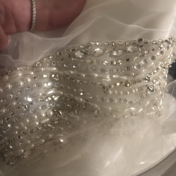 Maggie Sottero Jerrica Wedding Dress - Picture 10 of 11